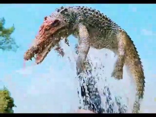 Chinese Fighter use skills