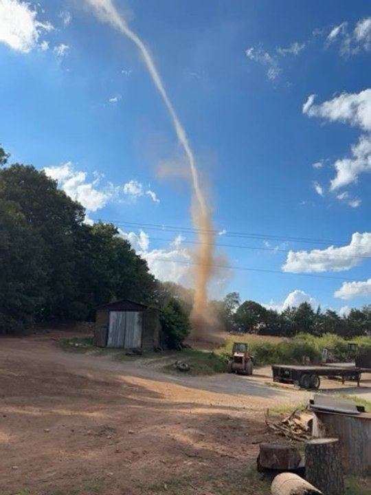 Dust devil at the sawmill