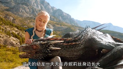 The Little Dragon Grows Embracing Brutality