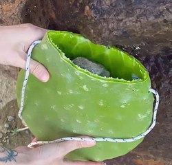 Desert dream! Cactus bag to stay hydrated & sane!