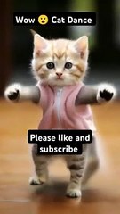 Wow__Cat_Dance__#dance_#catvideos_#funnycats_#comedy_#viral_#tiktok_#trending_#foryou(360p)