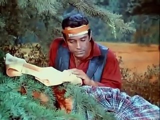 La Salvaje (Bonanza) /Series y Películas del Oeste/ Cine Western