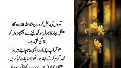 Kharish Ho Ya Alargi Ho Aik Phal Ko Nachoor Ka Naha Lein | Urdu Aqwal