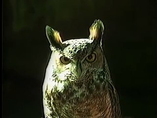 I Do Not Know What It Is I Am Like | movie | 1986 | Official Clip