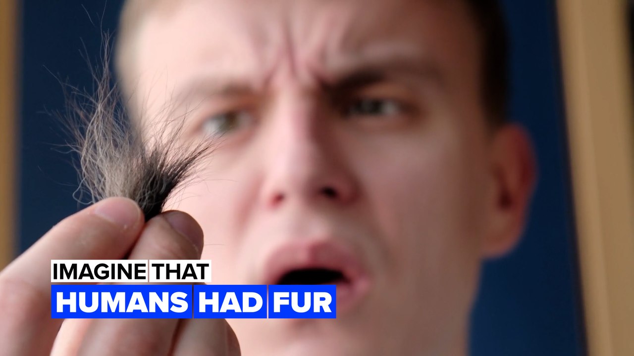 Imagine human had fur
