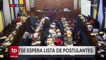 Vocal del TSE dice que la ALP debe remitir las listas de postulantes habilitados a las judiciales hasta finales de julio