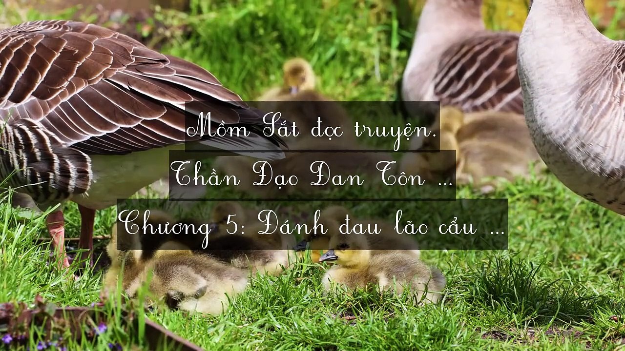 Chương 1-10 Thần Đạo Đan Tôn
