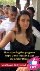 Vicky Kaushal, Tripti Dimri and Sharvari Wagh Spotted in City and Event Viral Masti Bollywood