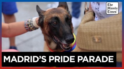 Madrid's LGBT community hold parade to raise awareness against animal cruelty