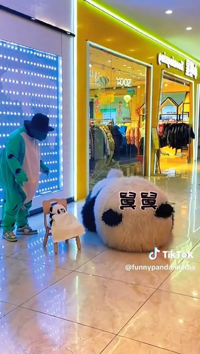 Funny Panda Video