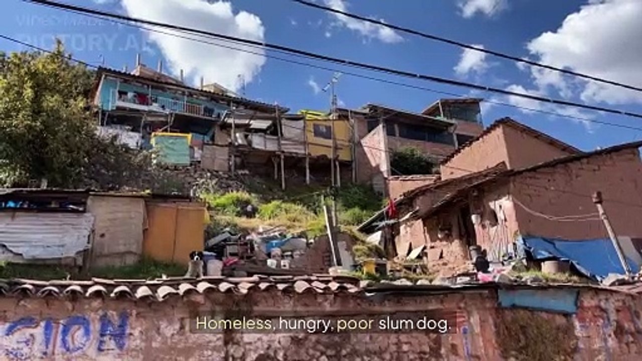 Slum dogs go back to slums
