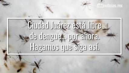 Video herunterladen: Lluvias, mosquitos y prevención de enfermedades en Juárez