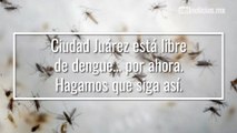 Lluvias, mosquitos y prevención de enfermedades en Juárez