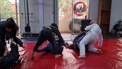 Mini campeones de jiu jitsu: deportistas posadeños conquistaron varios podios representando a la provincia