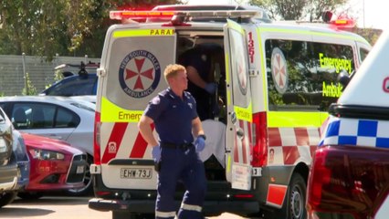 NSW police investigate deaths of two boys in Blue Mountains, mother arrested