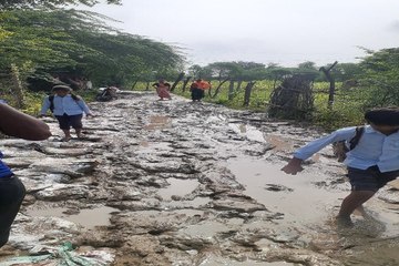बारिश का असर: दलदल में तब्दील हो गईं कस्बे सहित ग्रामीण अंचल की सडक़ें