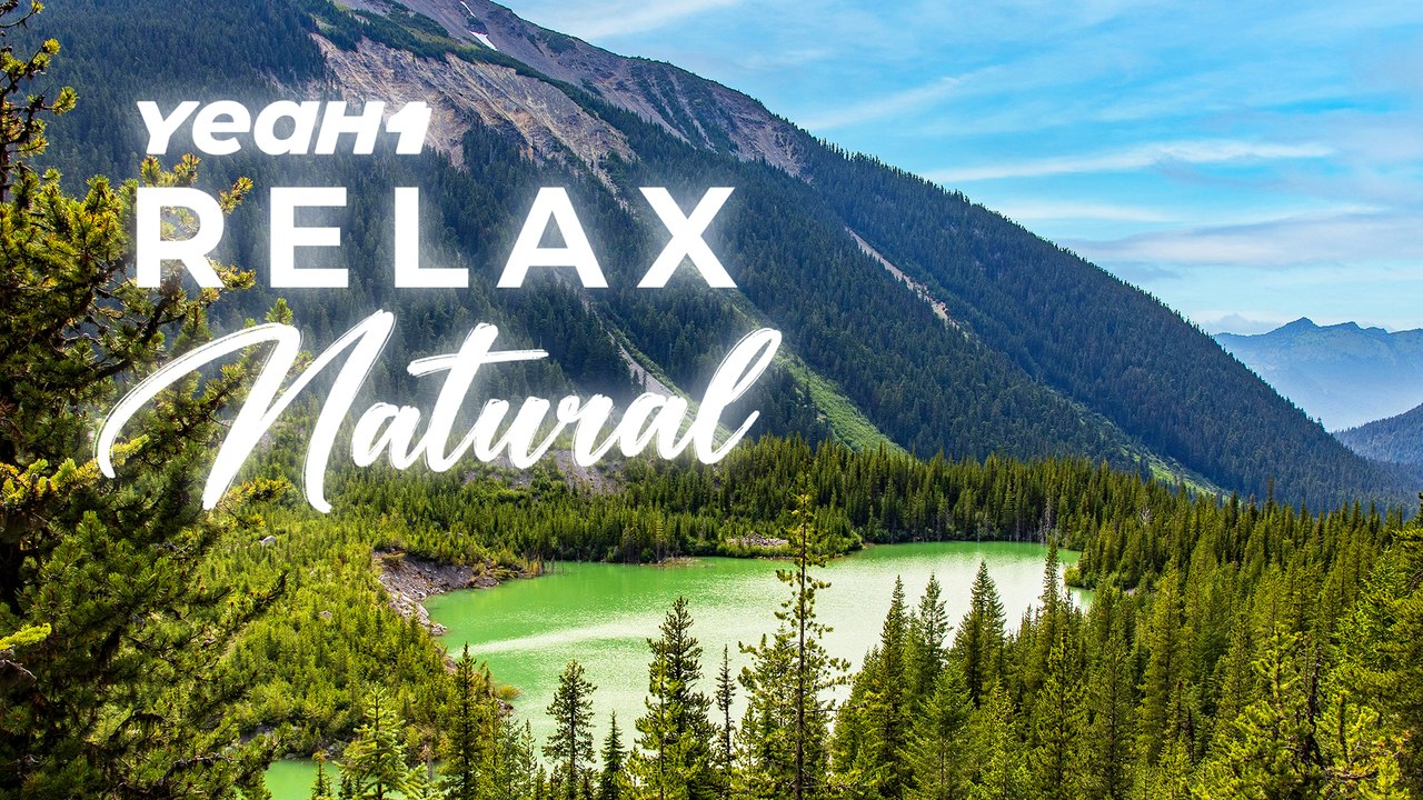 Soothing Forest Sounds With Relaxing Music | YeaH1 Relax Natural