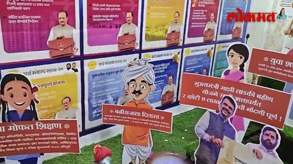 लाडक्या बहिणीसाठी सरकारची योजना कार्यकर्त्याने काय केलं पाहा