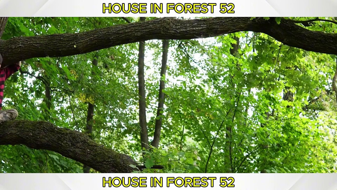 Build an Incredible Treehouse Shelter to Defy Brown Bears! | House in forest 52 | Camping Amazing