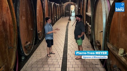 Domaine Meyer à Blienschwiller 1/5