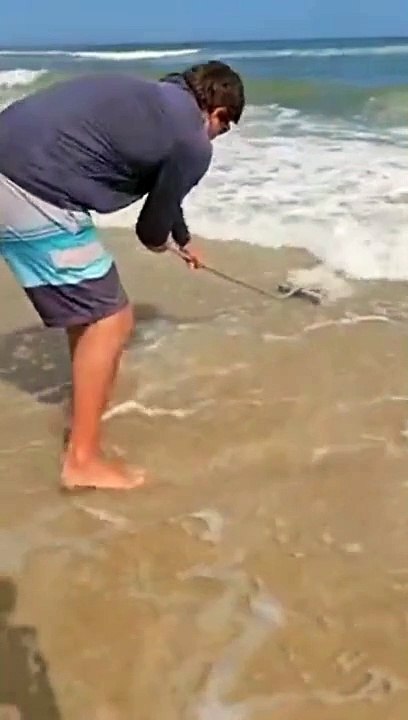 Des crabes très faciles à pecher