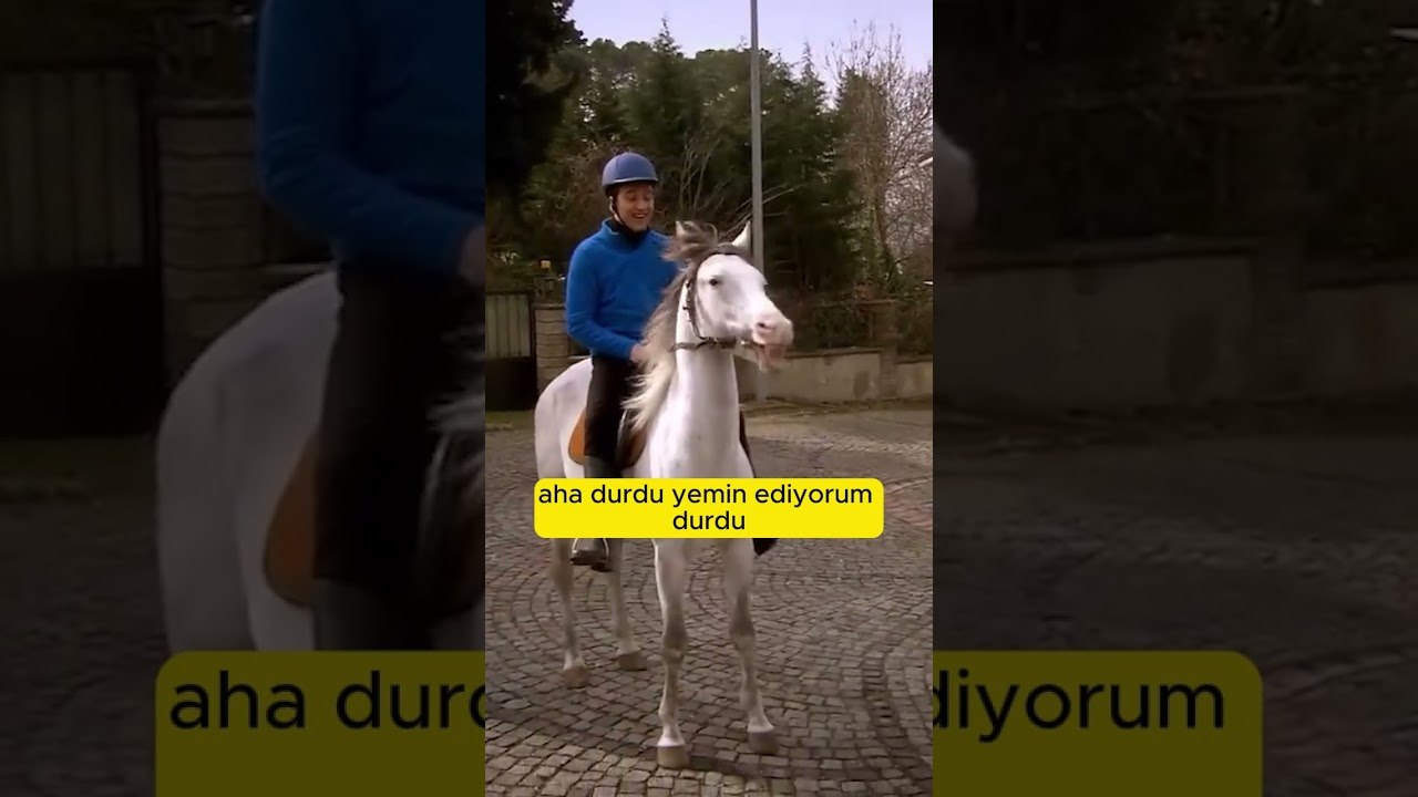 Orço'nun At ile İmtihanı! | Pis Yedili #shorts