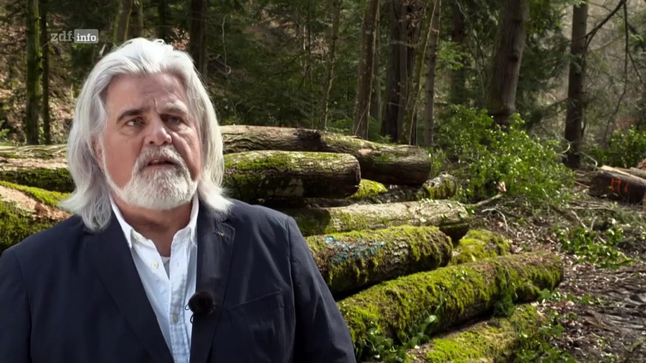 Ermittler! Tatort Auto