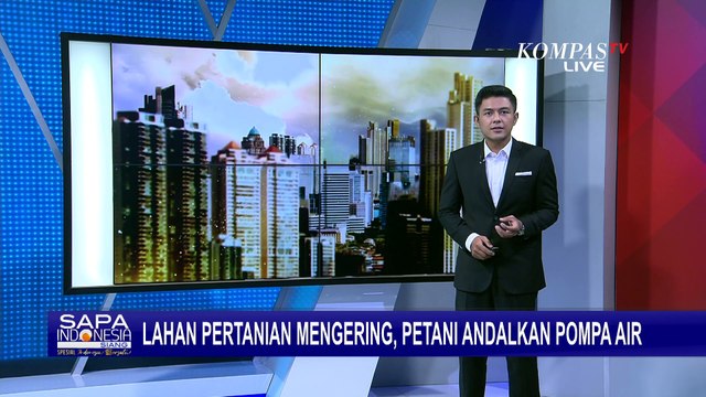 Lahan Pertanian Alami Kekeringan, Petani di Desa Wonorejo Jember Andalkan Pompa Air
