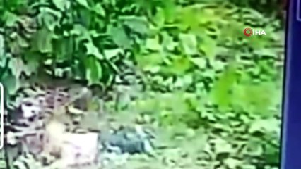 Torununu balkondan attı