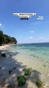 Les plus belles plages sont-elles en Bretagne ? ️ Plages de sable blanc, eau turquoise et paysages à couper le souffle… Non, ce ne sont pas les Maldives, c’est la Bretagne ! Y a-t-il des Bretons parmi nous ? Dites-le-nous en commentaire ! To