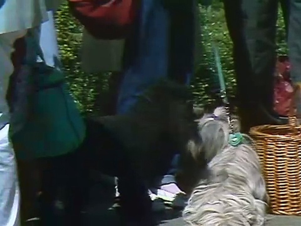 Tiere machen Leute (1988)E06-Die Einheit von Hund und Katz
