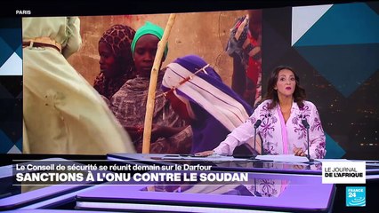 L'ONU face à la décision de prolonger l'embargo sur les armes à destination du Darfour