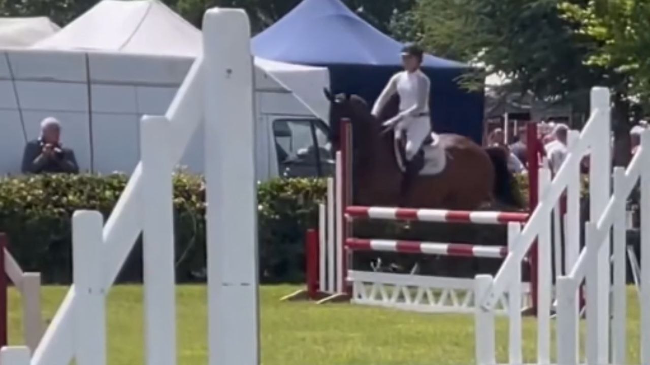 Hurdle race ends in dramatic fall as horse misjudges the jumping hurdle