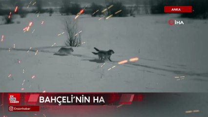 MHP lideri Bahçeli’nin hayatı kitap oluyor