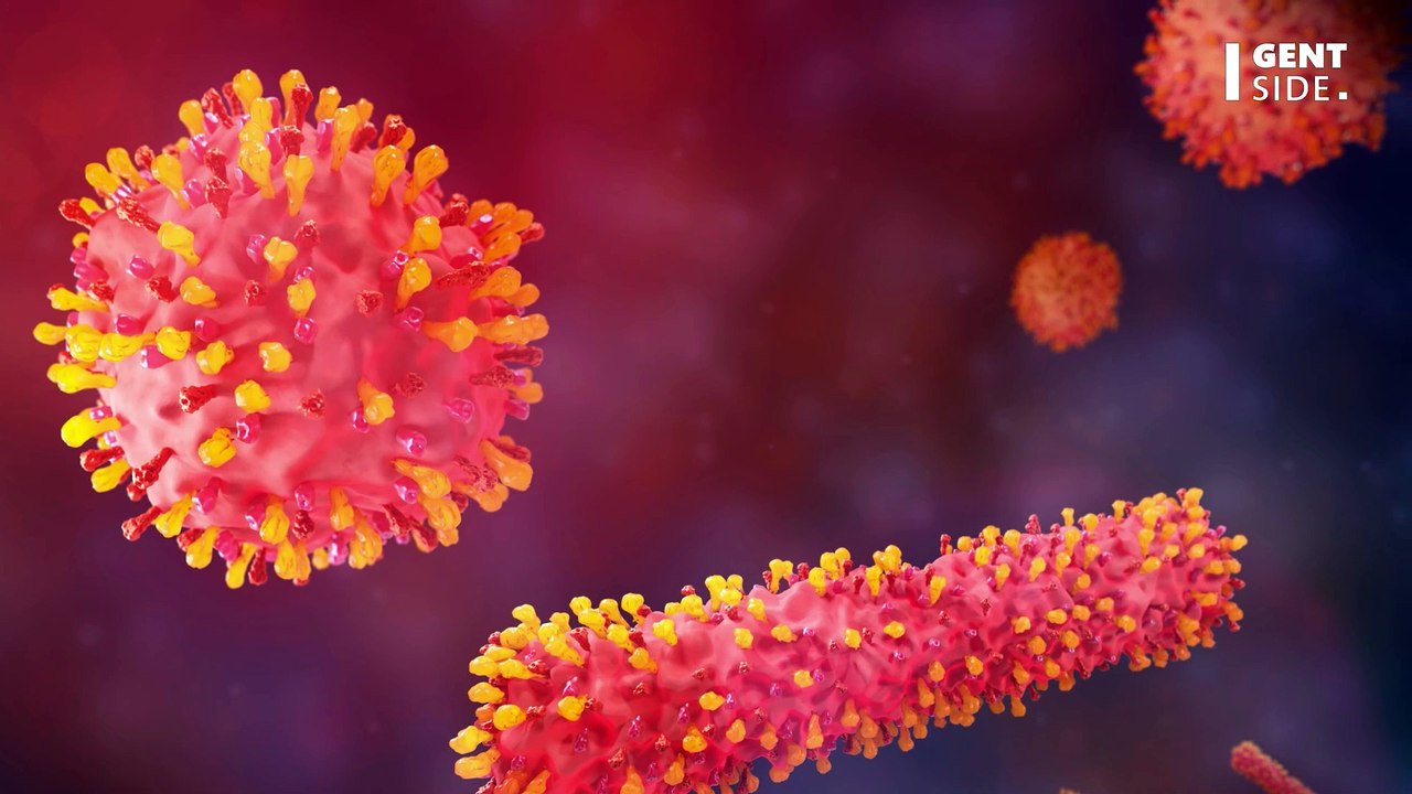 Infektion nach Zeckenbiss: Forscher entdecken neues Virus in China