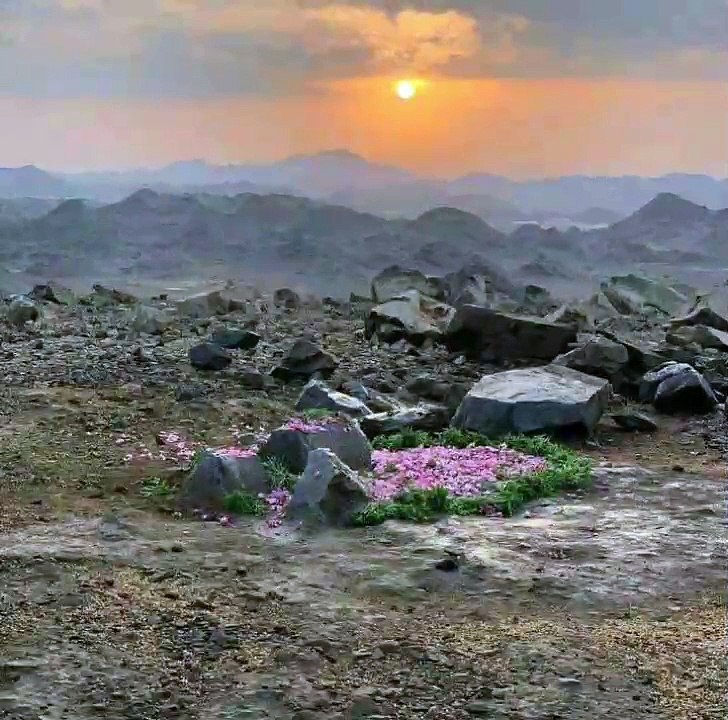 hazrat abdullah aur hazrat amina ki shadi ka waqia Part 1 || Tareekh e Muslim
