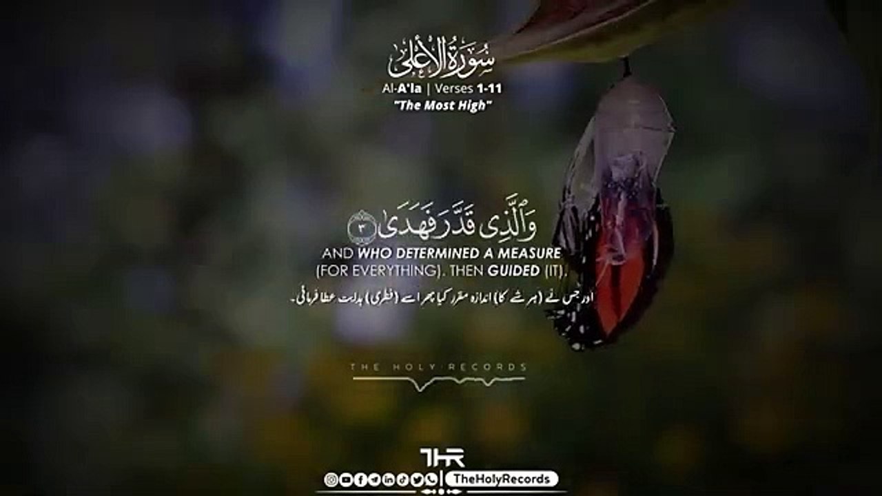 Surah Al- A_la Verses 1-11 - Abdul Rahman Mossad عبدالرحمن مسعد - The Holy Records