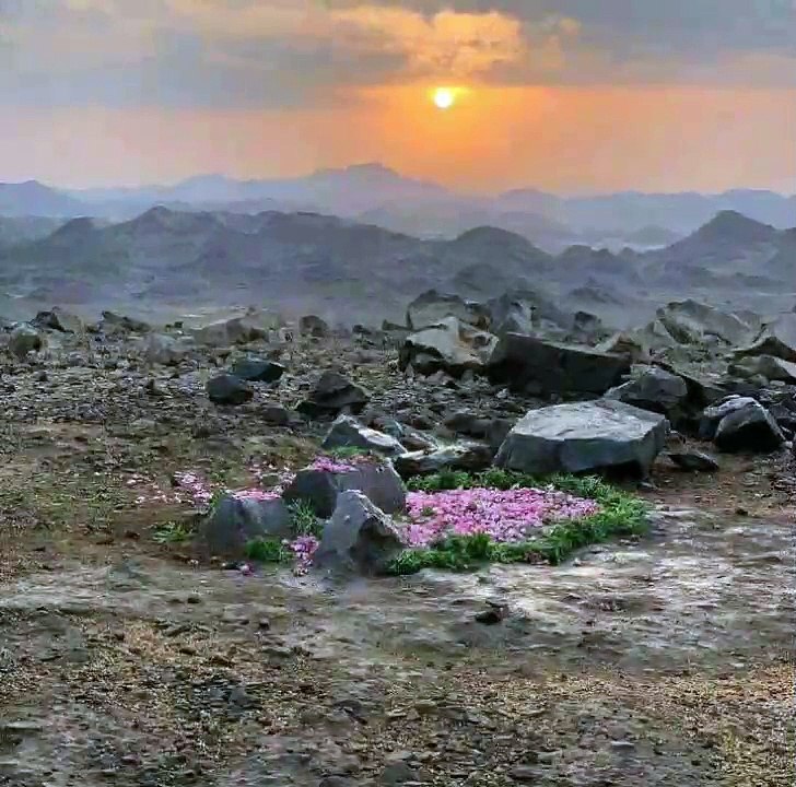 hazrat abdullah aur hazrat amina ki shadi ka waqia Part 3 || Tareekh e Muslim