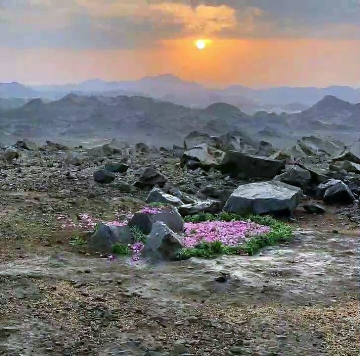 hazrat abdullah aur hazrat amina ki shadi ka waqia Part 2 || Tareekh e Muslim