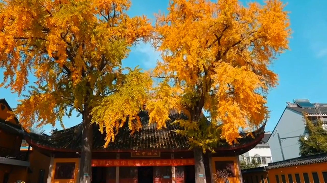 Âm nhạc thư giãn trị liệu với cảnh đẹp nhân gian - Nhạc Hoa cổ trang nghe là nghiện, giải tỏa mọi căng thẳng