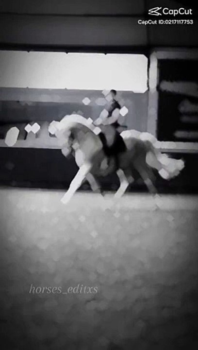 Horse lover