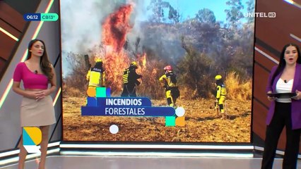 Incendio forestal en el Parque Tunari arrasó con varios árboles y especies nativas