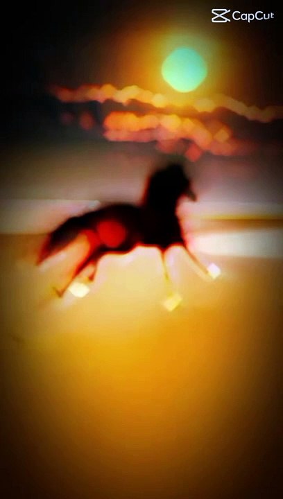 Horse lover