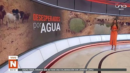 El desgarrador viaje de una familia de Capibaras que refleja el impacto de los incendios forestales