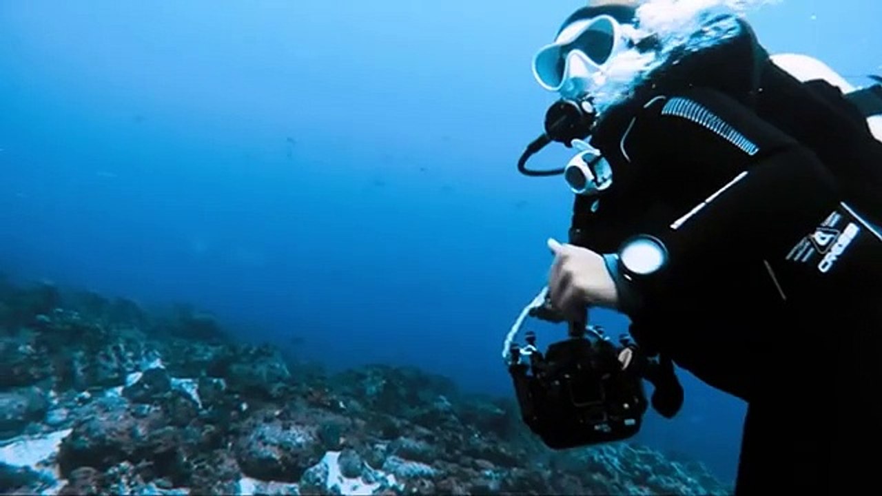 Best Scuba Dive Computers - Choosing the Perfect Scuba Dive Computer For You - Trip Advisor & Booking