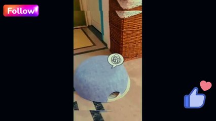 2023's Cutest & Funniest Animal Fails: Cats, Dogs, and More!