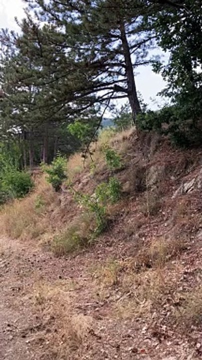 Stara Planina, nature, Bulgaria