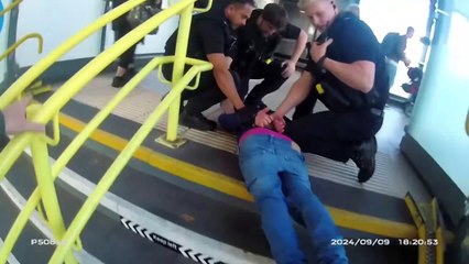 Police Detain Man with Hidden Knife on Train 🚨