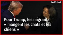 Débat Trump-Harris : pour Trump, les migrants « mangent les chats et les chiens »