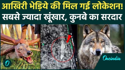 Bahraich Bhediya News: 5 भेड़िये कैद में,छठे की मिली लोकेशन | Bahraich Wolf Attack | वनइंडिया हिंदी